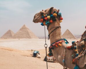 Gunakan Unta untuk berkeliling di sekitar Piramida Mesir