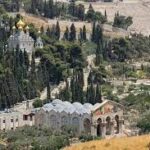 5 Fakta Sejarah Mengenai Bukit Zaitun di Palestina