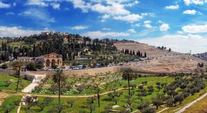 Tempat Aktivitas Luar Ruangan Terbaik di Yerusalem