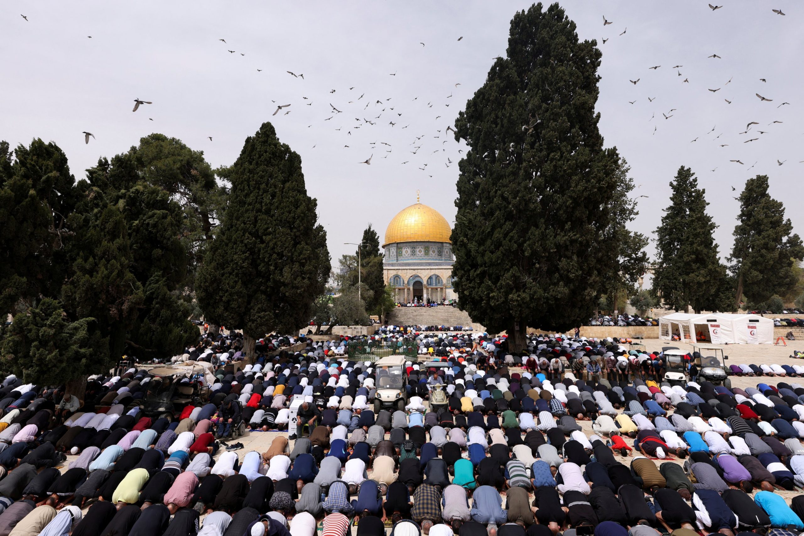 Paket Terbaik Ziarah Aqsa Jordan dan Mesir
