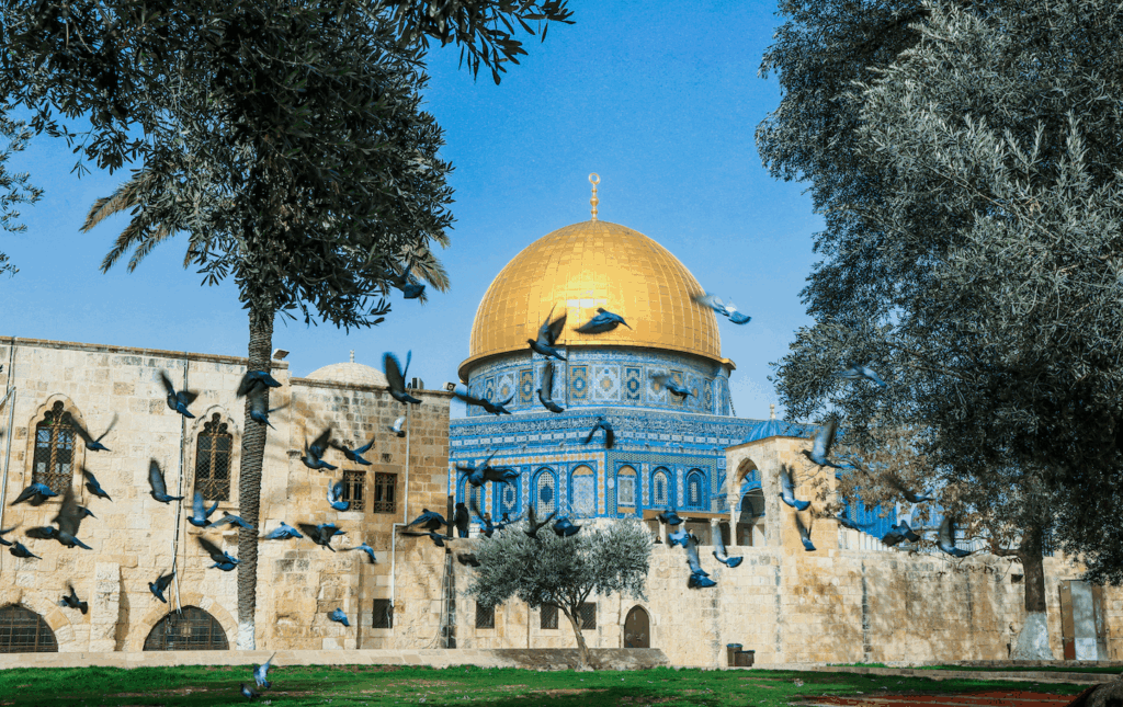 Menikmati Keindahan Alam Laut Mati Selama Tour Aqsa