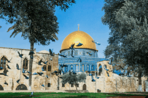 Menikmati Keindahan Alam Laut Mati Selama Tour Aqsa