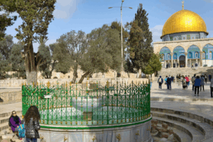 Perjalanan Religius: Tour Aqsa dan Sejarah di Baliknya